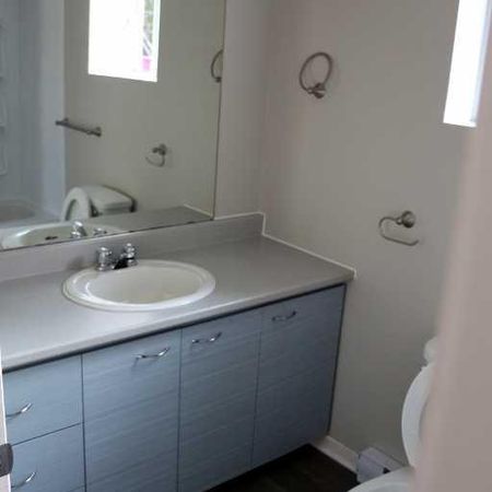 Bright, Renovated Gatineau Studio–Parking Included Ava. Immediately - Photo 4