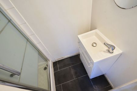 Croix G Roommate 5 Bedrooms at Roubaix - Photo 4