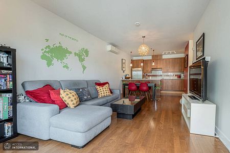 MR068 - Apartment Rosemont/Petite-Patrie, Montreal - Photo 4