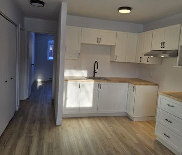 650#7 Côte-Richelieu, Trois-Rivières - Photo 3