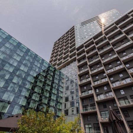 3 1/2 - Montréal - 2 200 $/mois - Photo 4