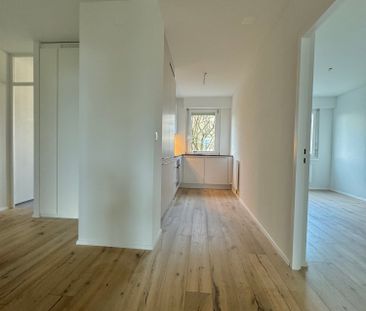 3 Zimmer, 76 m², 2. Stock - Photo 1