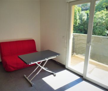 Location Appartement 1 pièce 20m² - Photo 4