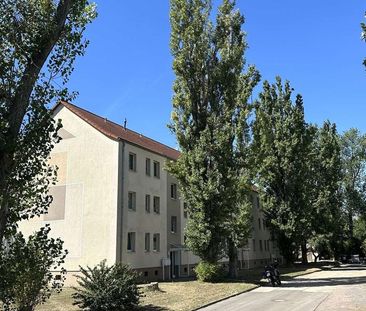 ++Frisch sanierte 3-Raumwohnung mit EBK++ - Photo 1