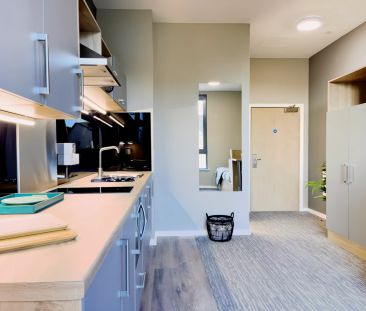 Bronze Plus Studio - Photo 3