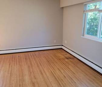 Large Bright Renovated 1 bedroom - Photo 3