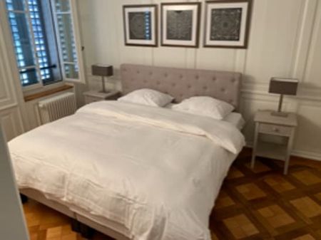 Luxurious furnished 2 bedrooms Flat 87m2 30 meters from Bahnhofstrasse - Foto 3