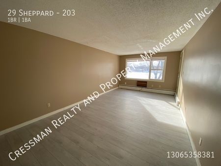 1 bed 1 bath apartment - Photo 4