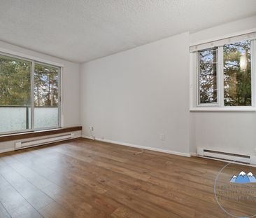 Property Details - Photo 1