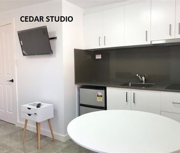 CEDAR/413 ANZAC Parade, Kingsford NSW 2032 - Studio For Rent | Domain - Photo 5