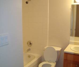 Large Renovated One Bedroom Suite in Mt Pleasant (Main & 12th) - Photo 4