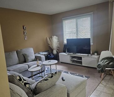 Cozy 1 Bedroom Suite in Highland Park - Photo 4