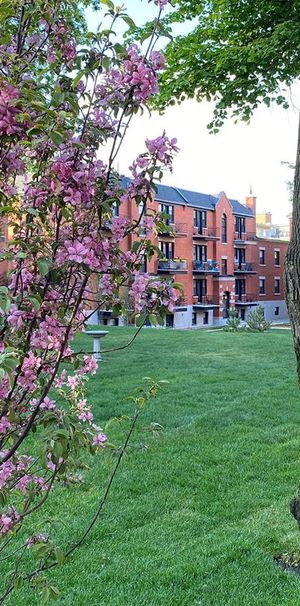 Jardins Des Saules - 1 Bedroom - 5530 Avenue Decelles, Montréal - Photo 1