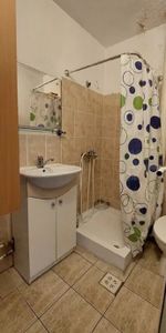 Si pentru clienti cu animal de companie - garsoniera Podu Ros Mathaus - Fotografie 3