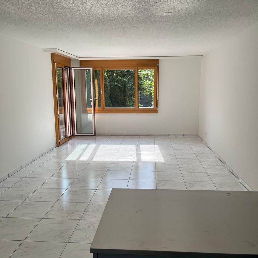 Reizende 2.5-Zimmer-Wohnung mit Terrasse in Dübendorf - Photo 1