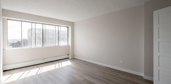 Sunny And Renovated 3 1/2 - Saint Laurent - 335 Boulevard Deguire, Saint-Laurent - Photo 2