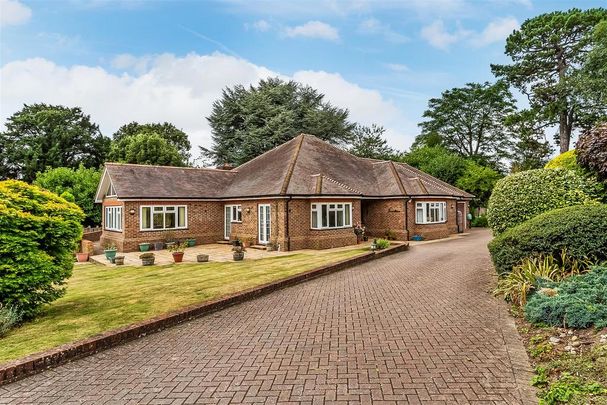 3 bedroom detached bungalow to rent - Photo 1