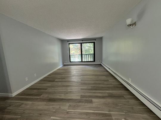 Modern and Spacious 2-Bedroom Apartment - SMALL PET FRIENDLY! - Photo 1