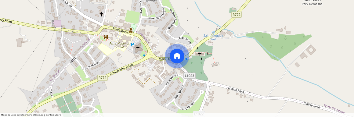 Main Street, Ferns, Wexford