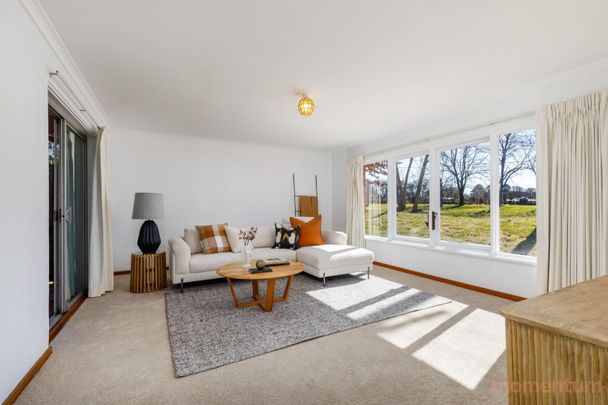 49 Holman Street, Curtin ACT 2605 - House For Rent | Domain - Photo 1