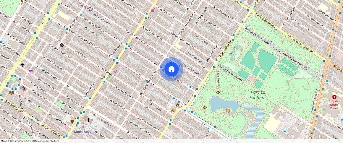 ** Rue de la Roche, Plateau-Mont-Royal, Plateau-Mont-Royal, Ile de Montréal, H2J 3H8