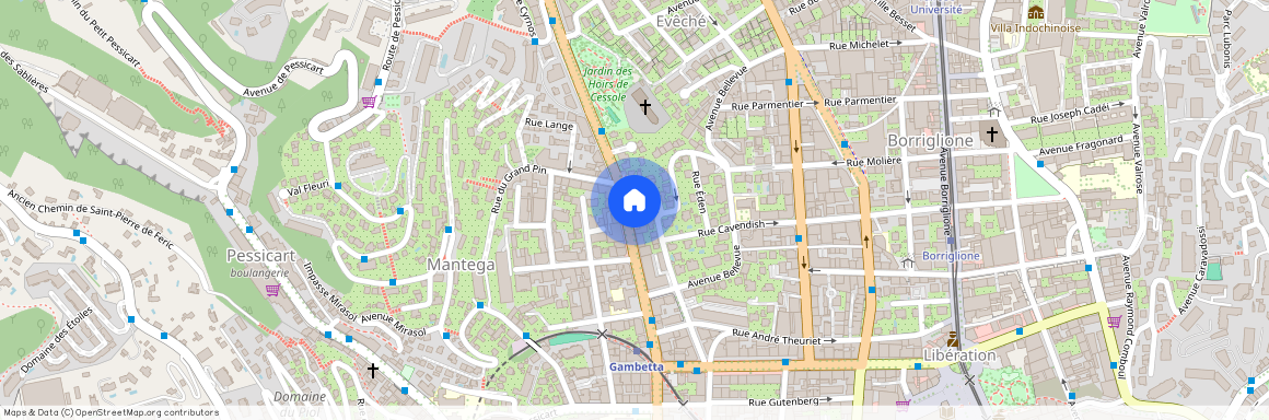 26 BOULEVARD DE CESSOLE, 06100, Nice