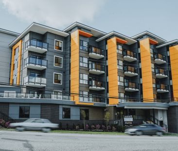 Unit 202 - 2 Bed Condo with Massive Patio at Central48 - Photo 1