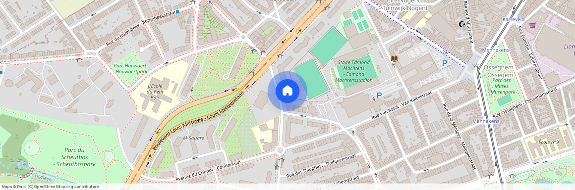 Avenue Des Tamaris - Tamariskenlaan, 33, 1080, Molenbeek