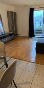 3 ½ très ensoleillé (DÉCEMBRE/Janvier) - Photo 3