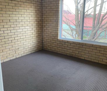 Fresh Unit - Photo 4