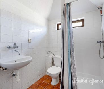 Pronájem bytu 2+1 53 m² - Fotografie 2