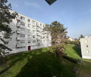 Location - Appartement T3 - 56 m² - Sochaux - Photo 6