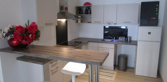 Location Appartement 2 pièces 48m² VALENCE 26000 - Photo 2