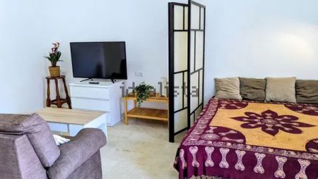 Alquiler de estudio en Calle Pájaro Carpintero, 30 - Photo 4