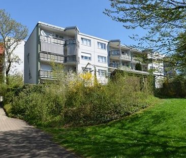 Greifensee La zone de loisirs locale - Photo 5