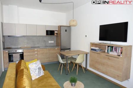 Pronájem nadstandardně vybaveného bytu 2+kk, 40 m - Photo 3