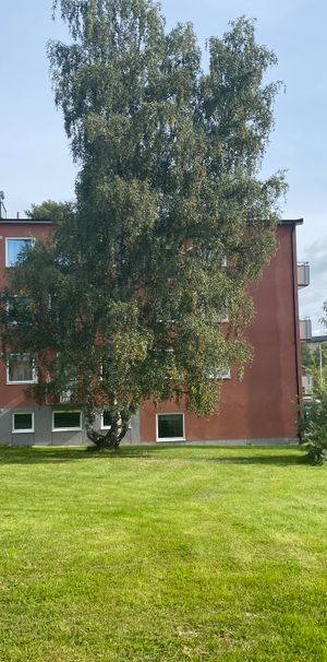 Rånäsvägen, Rimbo - Photo 1