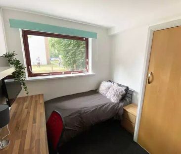 Ensuite Room (Gold-B) - Photo 6