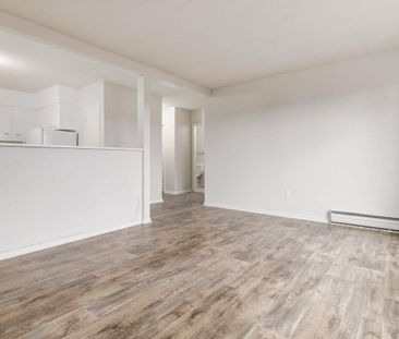 1 Bedroom - Photo 5