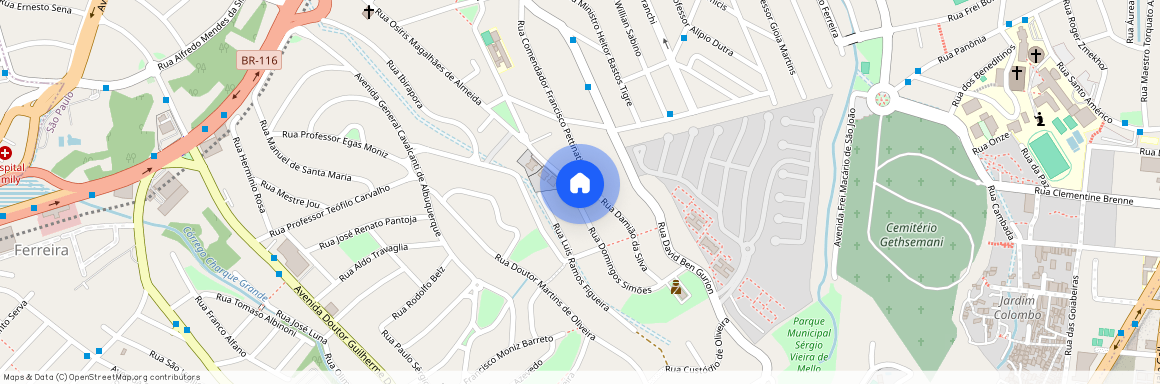 Rua Domingos Simões, 388 - Vila Suzana, São Paulo - SP