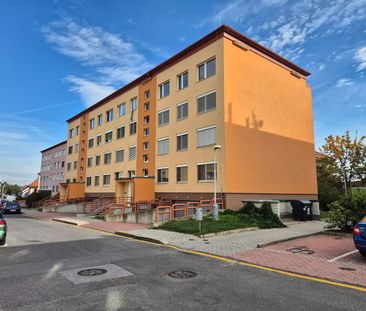 Pronájem bytu 5+1 (100 m²), 2× WC – vhodné pro skupinu – Praha-Vinoř - Photo 6