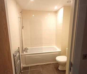 9 Woodlands Manor, 59 Stockmans Way, Belfast, BT9 7GL - Photo 6