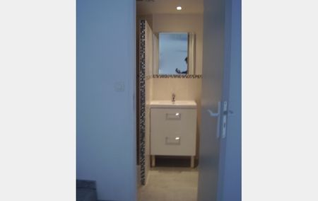 Location Appartement P1 Mezzanine Meze - Photo 5