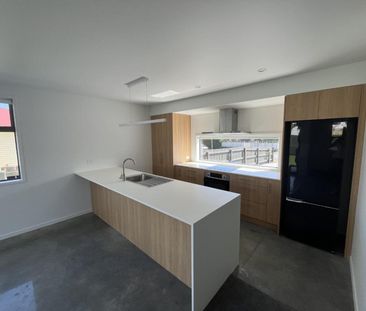 Brand new 3 bedroom in Vogeltown - Photo 4