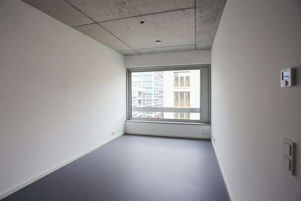 Große 3-Zi.-Wohnung zum Leben und Arbeiten - zentral gelegen, hell und ideal ausgestattet - Photo 1