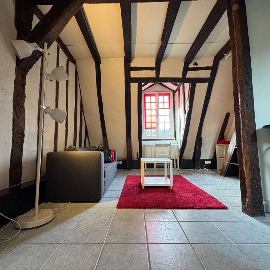 "LE BOISÉ" - Location Appartement tours : 22.248 m2 - Photo 1