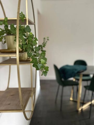 Kralingse Plaslaan - Photo 5