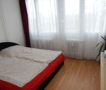 Pronájem bytu 3+kk • 66 m² bez realitkyK Olympiku, Praha - Karlín - Photo 3