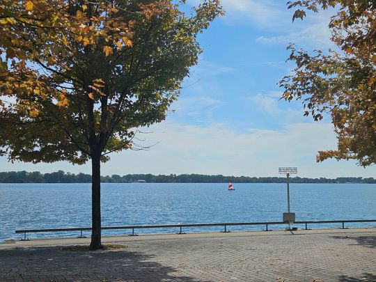 For Lease - 118 Merchants' Wharf N/A Unit# 215, Toronto, Ontario - Photo 1