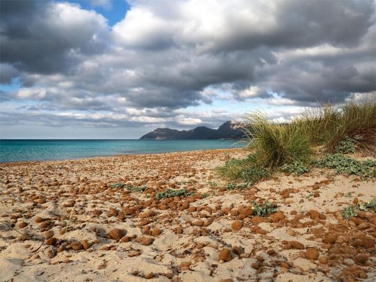 Piso de alquiler en Carrer Joan Frontera Riera, 131, Son Serra de Marina - Photo 1